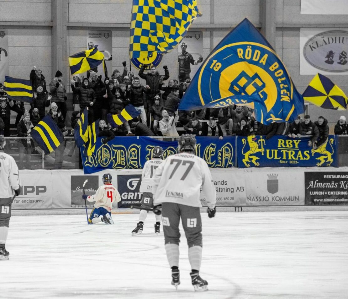 Гроші на підтримку України збирає хокейний клуб Швеції 