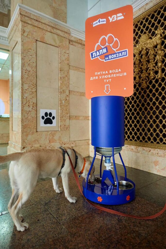 На Південному вокзалі у Харкові встановлять поїлки для тварин (фото)
