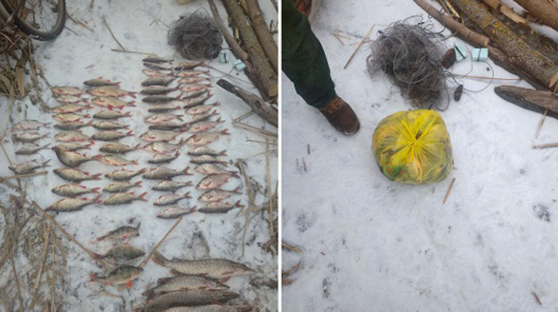 На Харківщині браконьєр наловив риби на 114 тисяч гривень 01.03.23