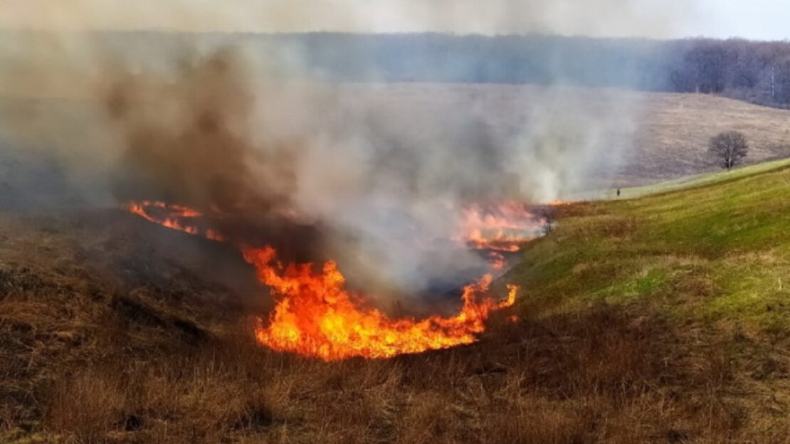 За добу на Харківщині сталося понад 20 пожеж в екосистемах