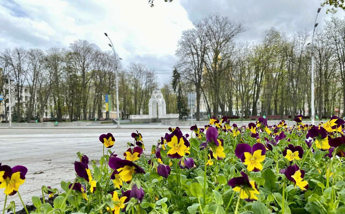 У воєнному Харкові висадять квіти навесні 2023 року - Ігор Терехов