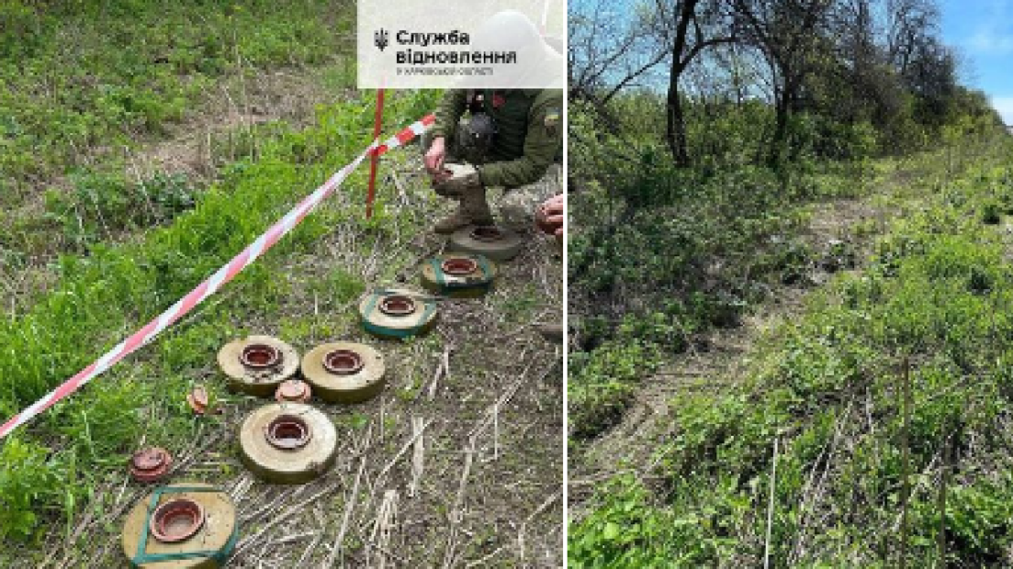 На Харківщині знайшли міни на узбіччі міжнародної траси М-03 