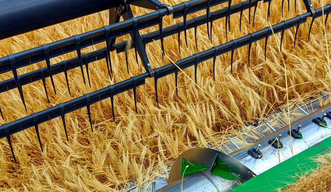 На Харківщині намолотили 276 тисяч тонн зерна нового врожаю