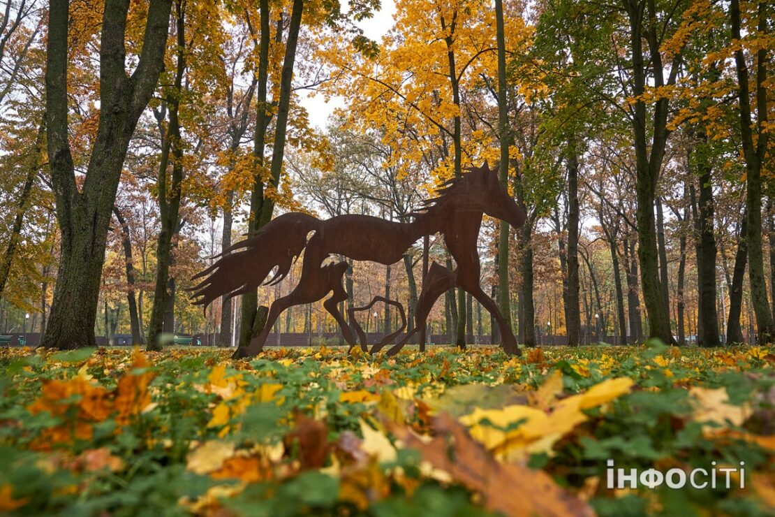 Фото Харків 2023: Золота осінь у Центральному парку 