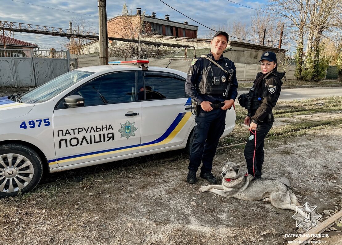 Новини Харків: Патрульні врятували собаку військовослужбовця