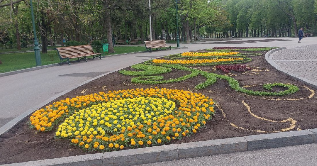 Комунальники прикрашають Харків квітами