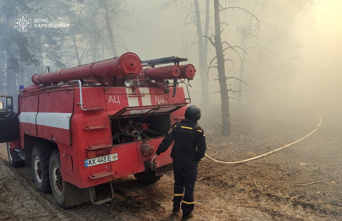 На Харківщині через російські обстріли сталися три лісові пожежі (фото)